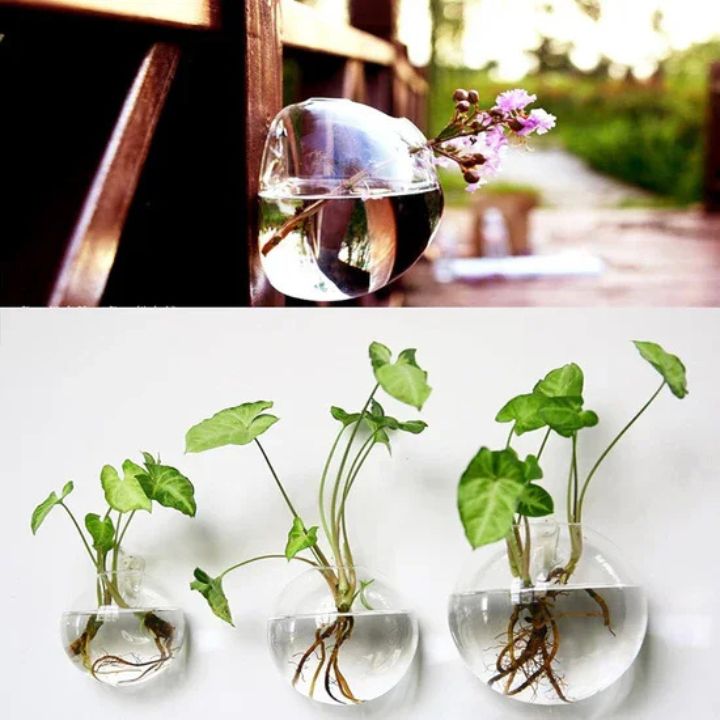 1+1 Gratis | GlassVasy – Minimalistische Glaswandvase für Hydrokulturpflanzen