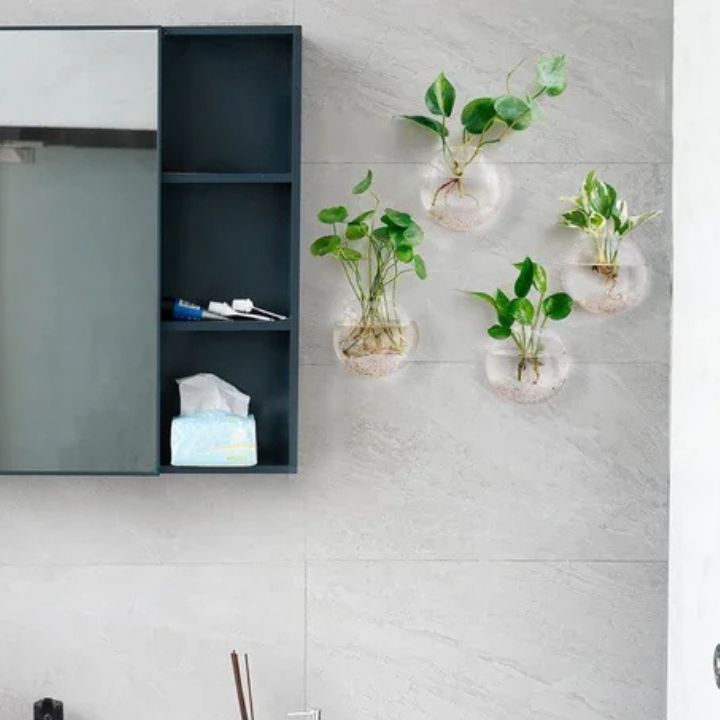 1+1 Gratis | GlassVasy – Minimalistische Glaswandvase für Hydrokulturpflanzen