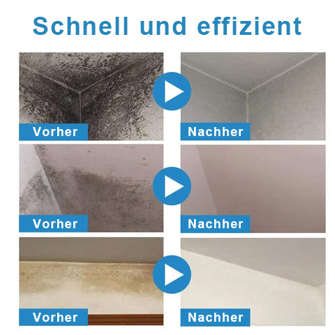 Schimmelspray Reinigungsschaum antibakteriell mit Tiefenwirkung