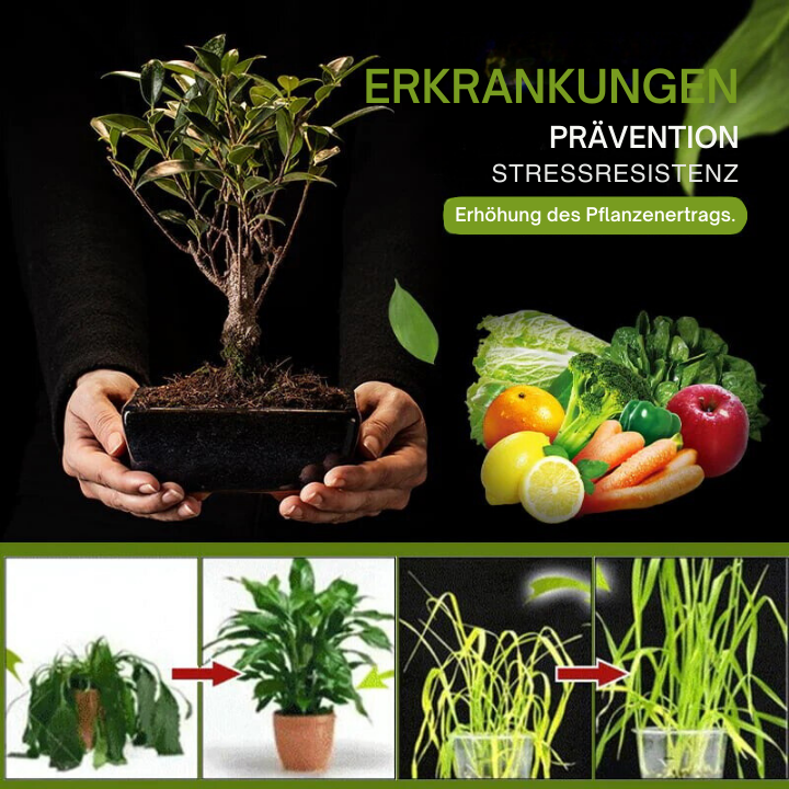 1+2 Gratis | MagicGrow™ - 3-Tage-Aktivator für Gartenerde