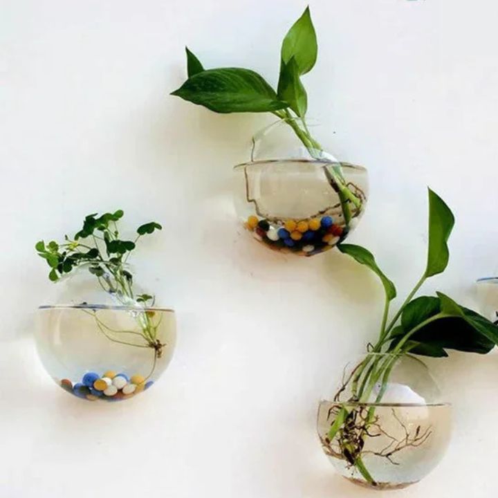 1+1 Gratis | GlassVasy™ – Minimalistische Glaswandvase für Hydrokulturpflanzen