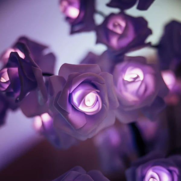 LED Rosenbaum Geschenk handgefertigt Kunststoffrahmen mit warmem Licht