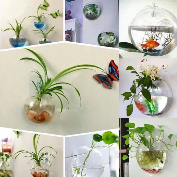 1+1 Gratis | GlassVasy – Minimalistische Glaswandvase für Hydrokulturpflanzen