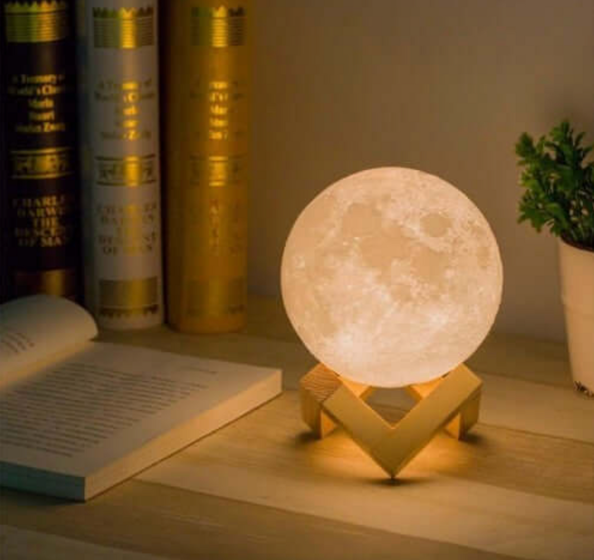 LED Mondlampe Kunststoff 15/22 cm | Weiß mit Holzständer | 16 Farben, Fernbedienung, kabellos & USB-aufladbar für zuhause 2