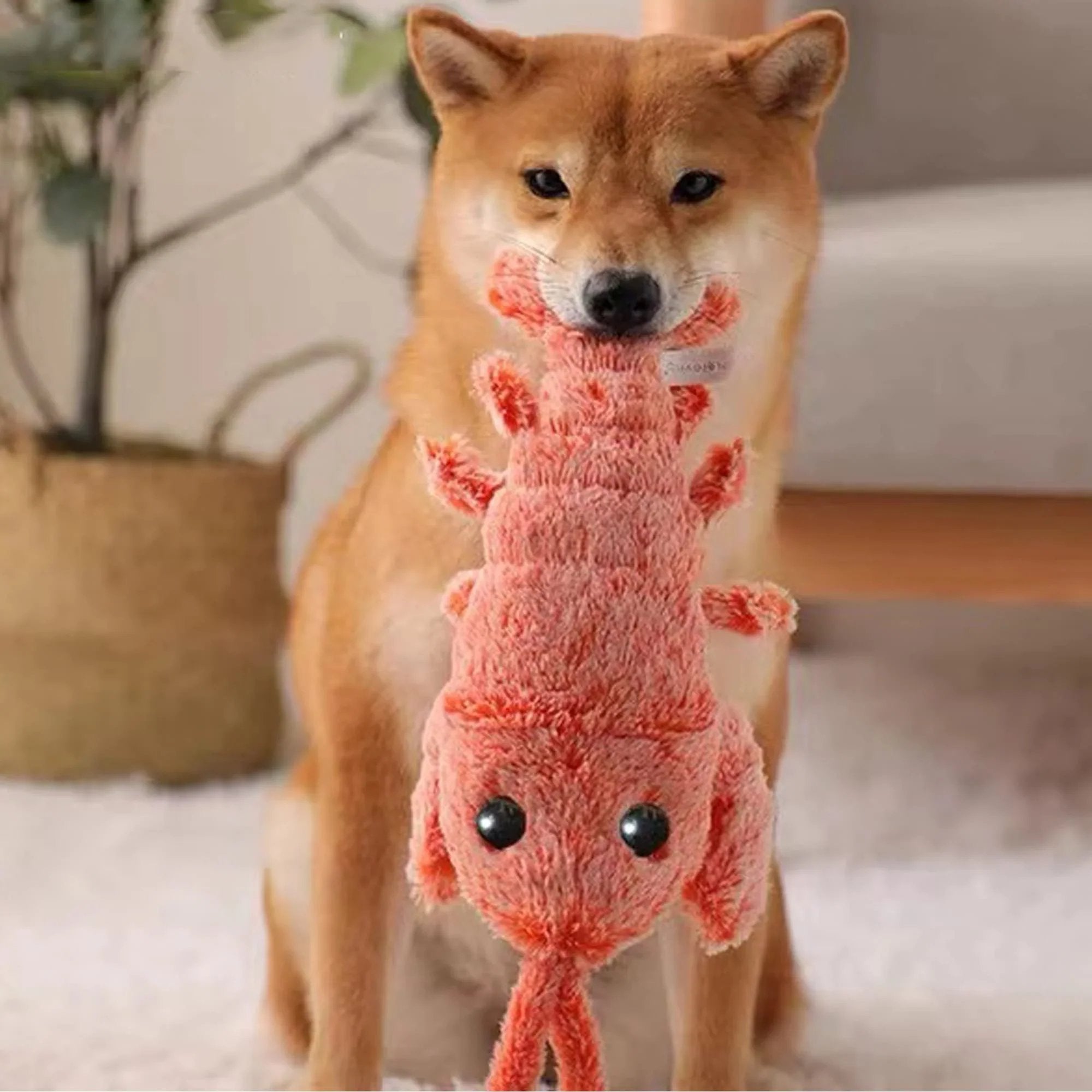Shrimps™ – Interaktives Hundespielzeug für endlosen Spaß