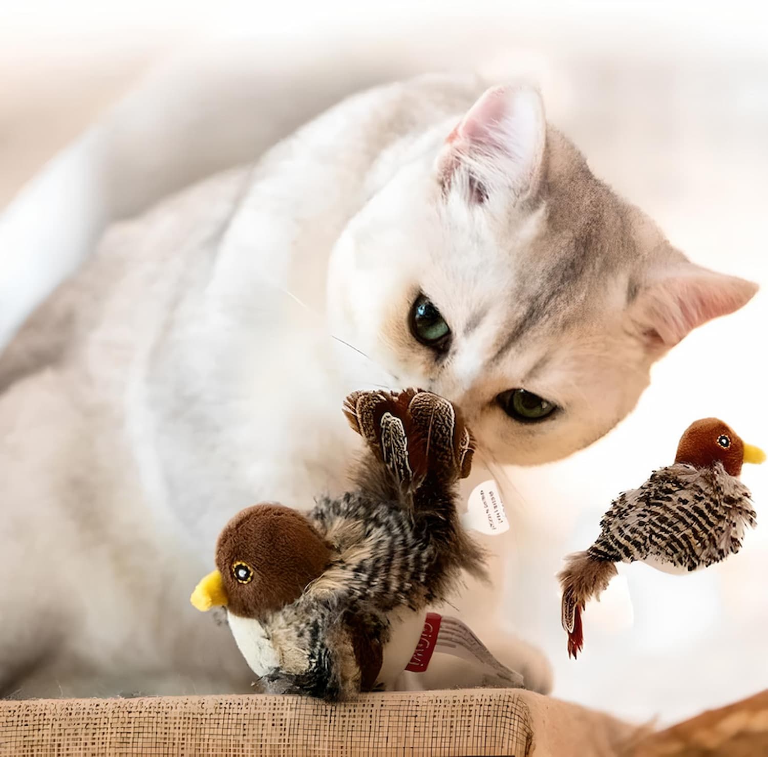 BirdFly™ – Erwecken Sie die wilden Instinkte Ihrer Katze