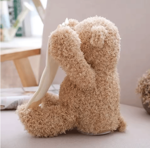 PlushyBoo™ – Peek-a-Boo Teddybär-Spielzeug