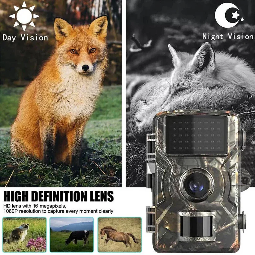 Wildkamera Nachtsicht Outdoor | 16 MP Foto & 1080p HD Video, 0,7s Auslöser | 38 Infrarot-LEDs, IP66 wasserdicht, -20°C bis 60°C 2