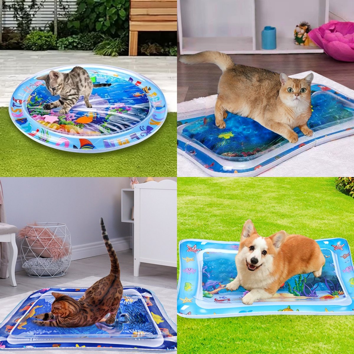 PuddlePlay™ – Kühlende sensorische Wassermatte für Katzen