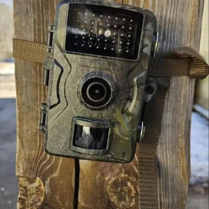 Wildkamera Nachtsicht Outdoor | 16 MP Foto & 1080p HD Video, 0,7s Auslöser | 38 Infrarot-LEDs, IP66 wasserdicht, -20°C bis 60°C 3