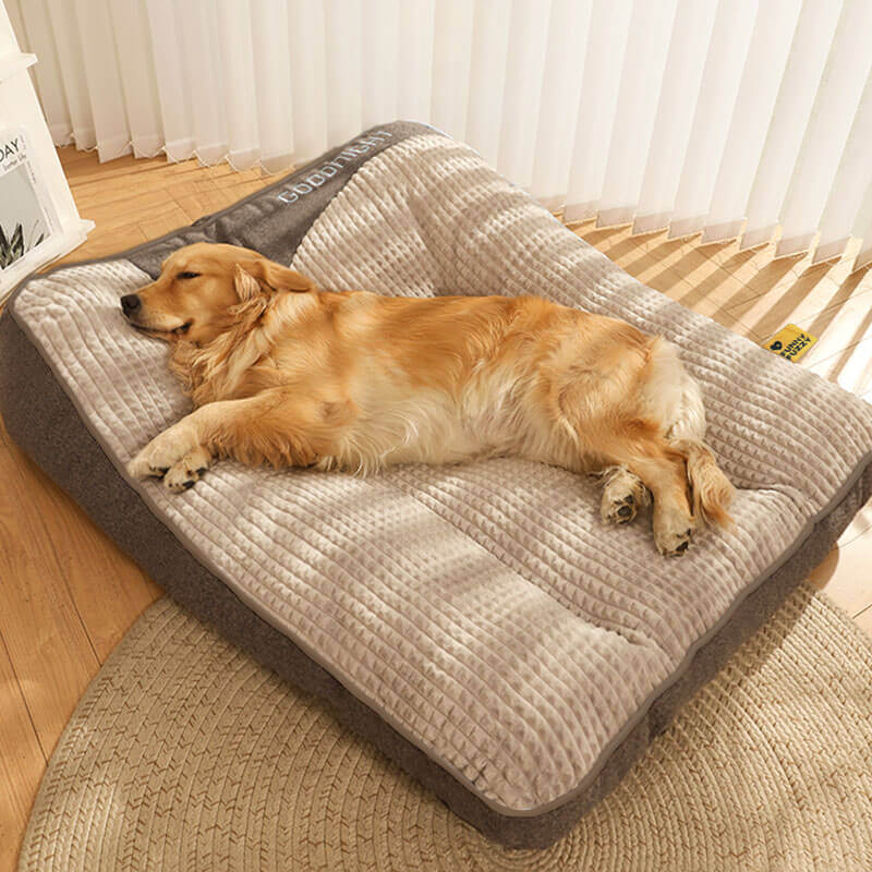 Luksuriøs, ridsefast hundeseng med ortopædisk hovedstøtte. Stor, behagelig pude for optimal hundekomfort.