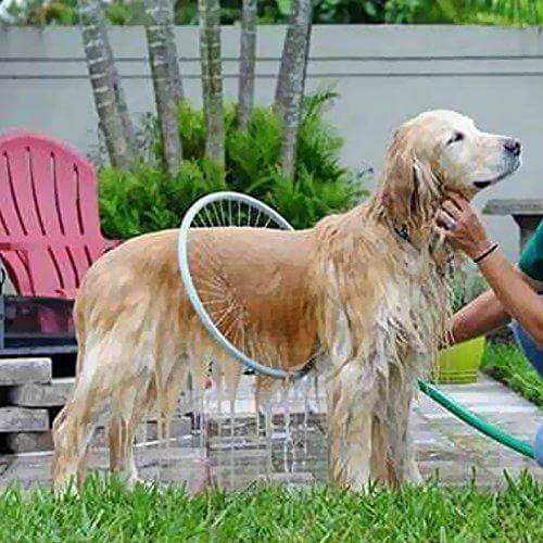360° Hundedusche aus ABS und PP | 2-in-1 Shampoospender integriert | Passt an jeden Gartenschlauch, für alle Hunderassen 2