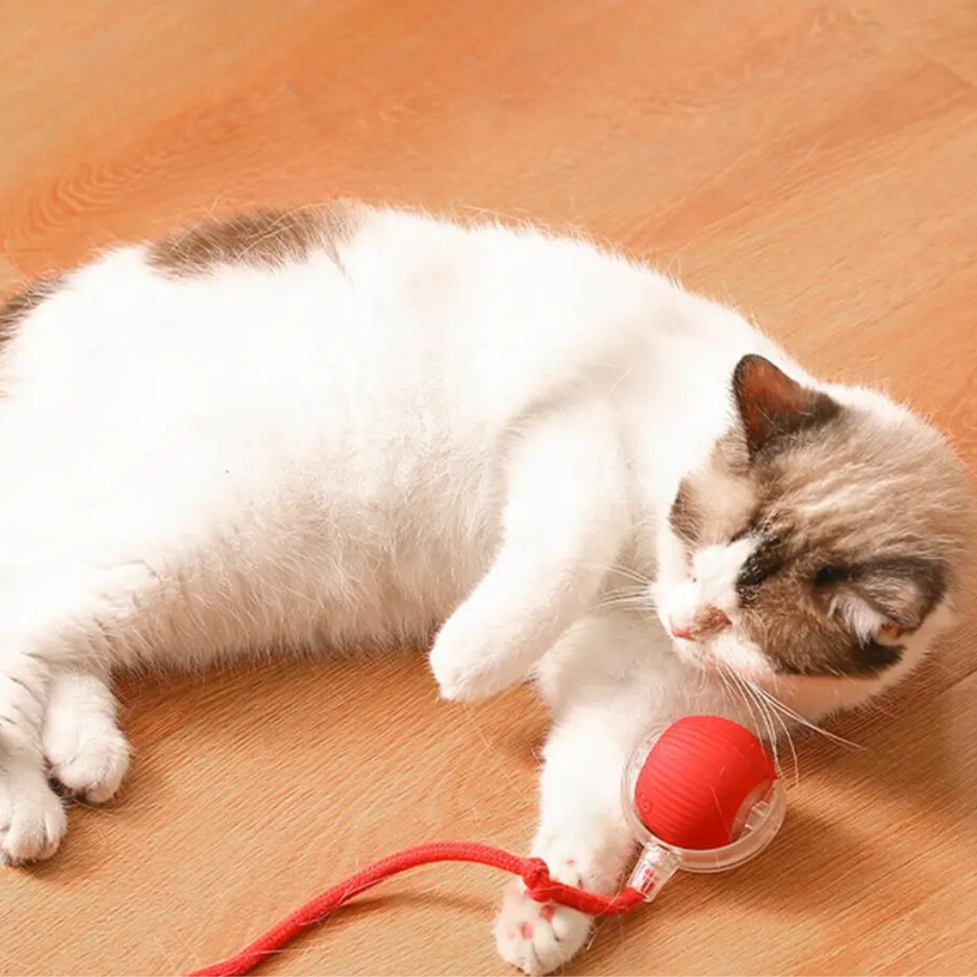 TwirlerKitty™ – Interaktiver Katzenspielball