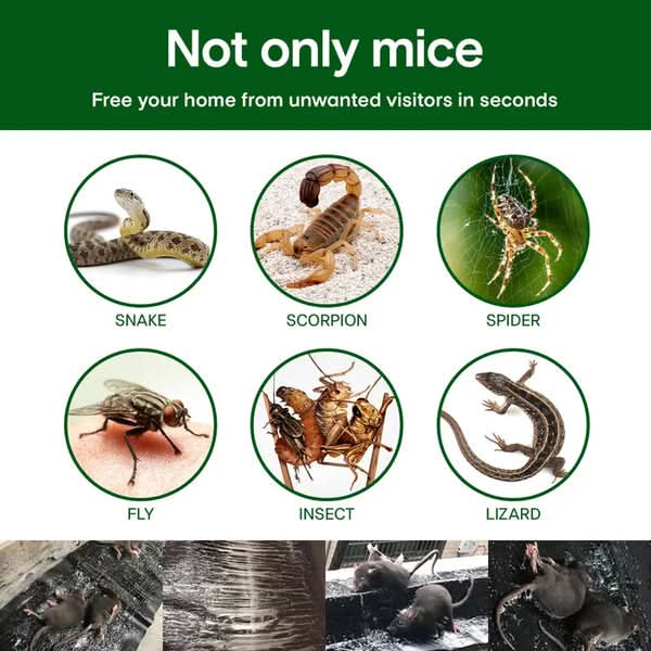1+1 Gratis | StickyRat – Extra große humane Klebefalle für Nagetiere