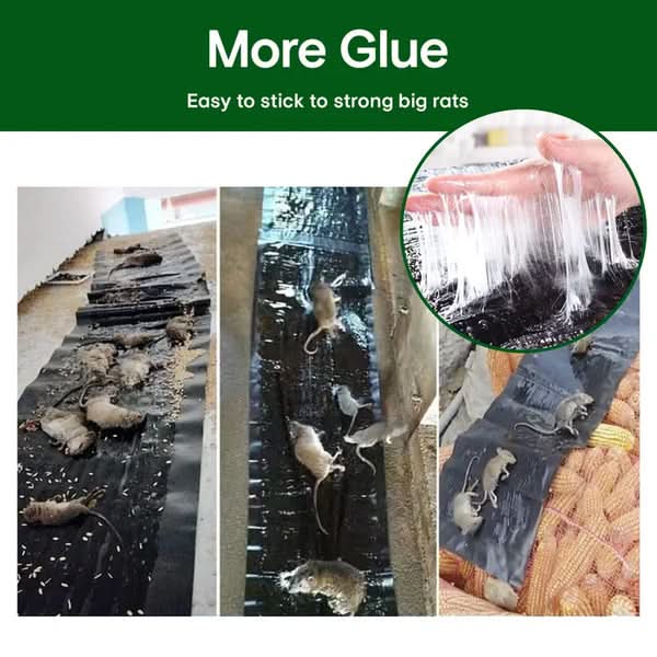 1+1 Gratis | StickyRat – Extra große humane Klebefalle für Nagetiere