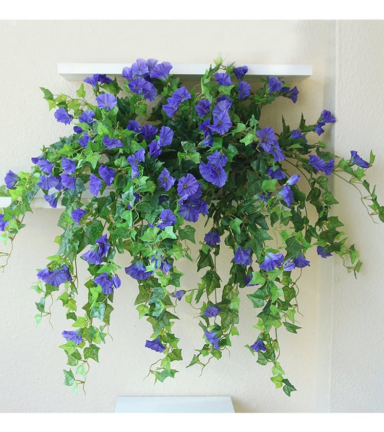 FlowerGlow™ – Ewig blühende Prunkwinde für Eleganz im Innen- und Außenbereich