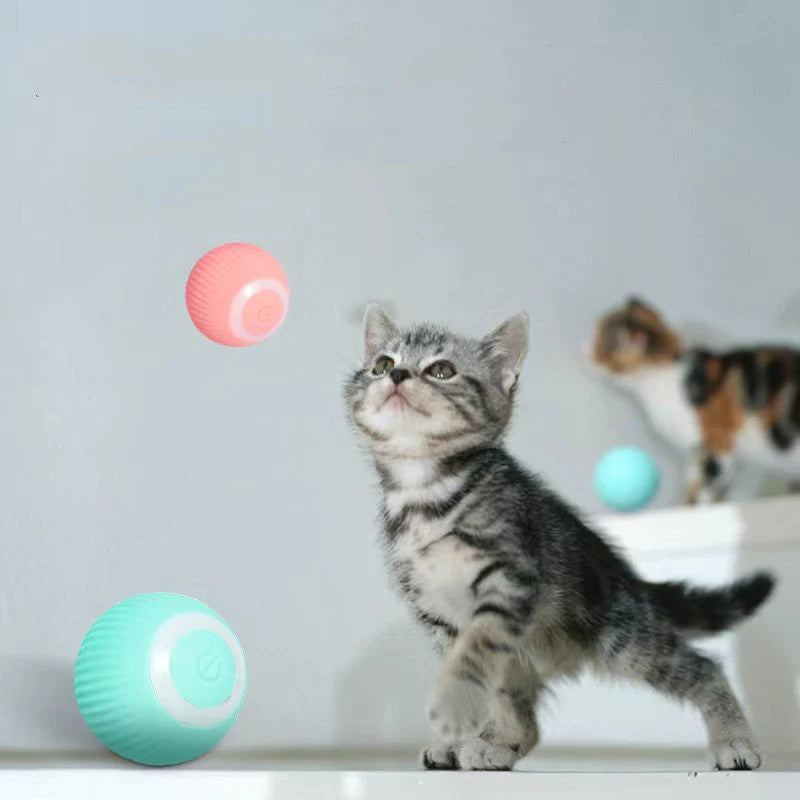 Interaktiver Katzenball mit Hindernisvermeidung | ABS/Silikon, 4,3 cm | Rosa oder Blau, geräuscharmes Rollen im Smart-Modus 11