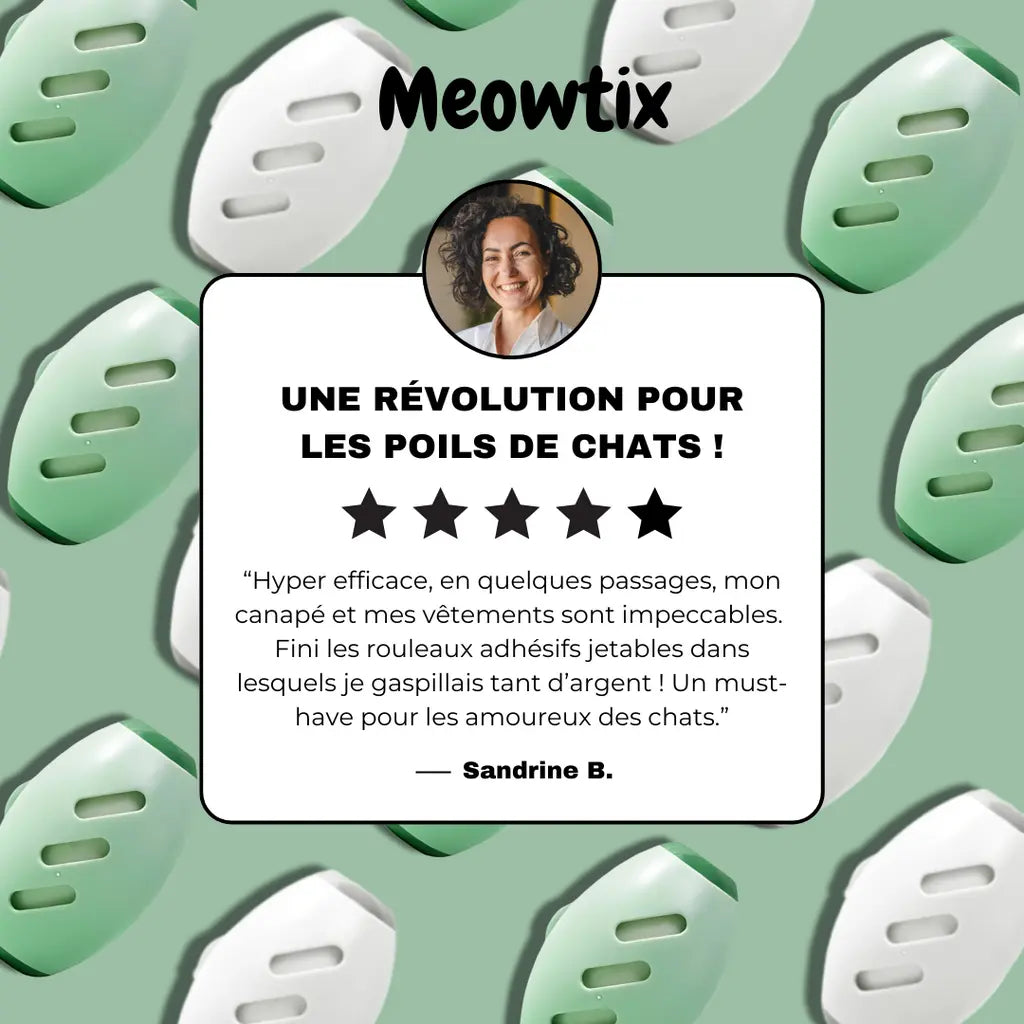 MeowStick™ – Wiederverwendbarer Fusselroller