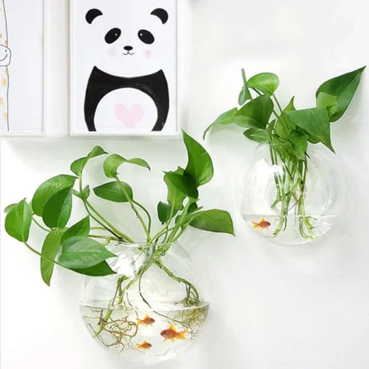 1+1 Gratis | GlassVasy – Minimalistische Glaswandvase für Hydrokulturpflanzen