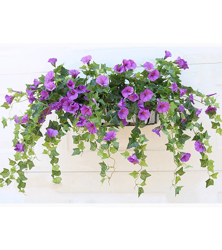 FlowerGlow™ – Ewig blühende Prunkwinde für Eleganz im Innen- und Außenbereich