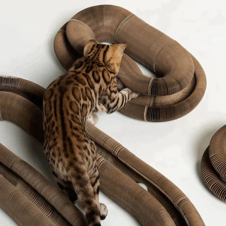 PurrPlay™ - Der größte Spaß für Ihre Katze!