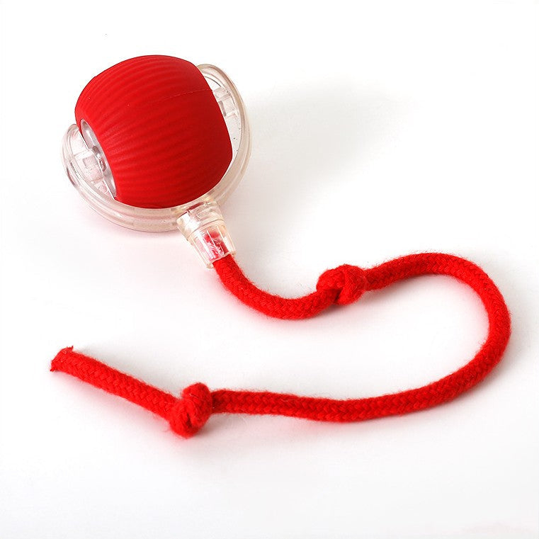 TwirlerKitty™ – Interaktiver Katzenspielball