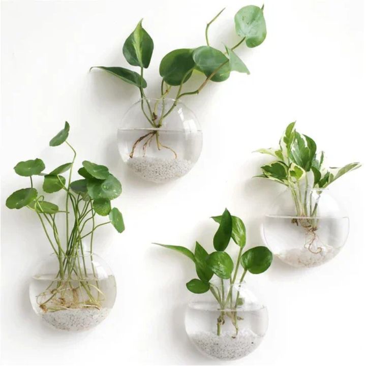 1+1 Gratis | GlassVasy™ – Minimalistische Glaswandvase für Hydrokulturpflanzen