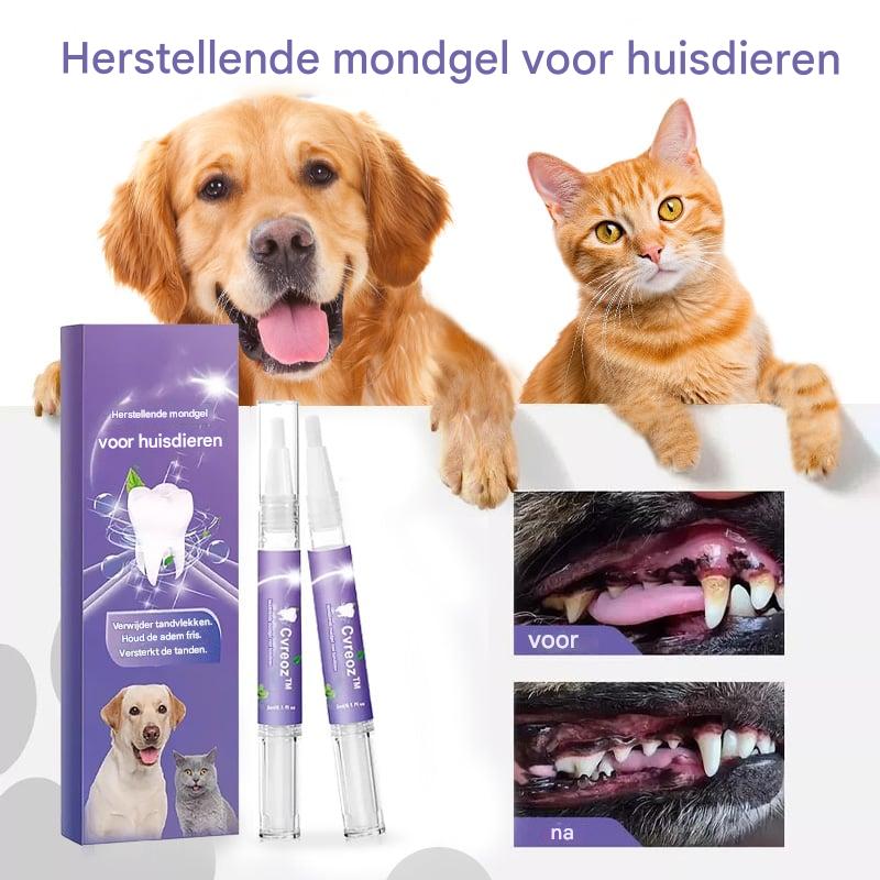 1+1 Gratis | OralShine™ – Zahnpflege-Gel für Haustiere