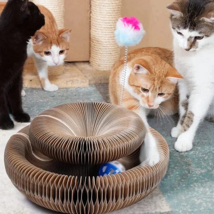 PurrPlay™ - Der größte Spaß für Ihre Katze!