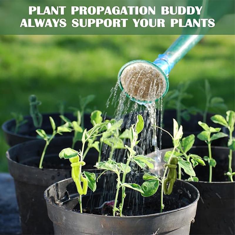 3+3 Gratis | PlantFriends™ – Dekorative Pflanzenstützen für gesundes Wachstum