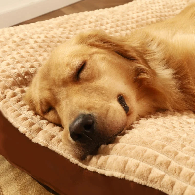 TraumHund™ – Hundematte für schmerzfreien erholsamen Schlaf