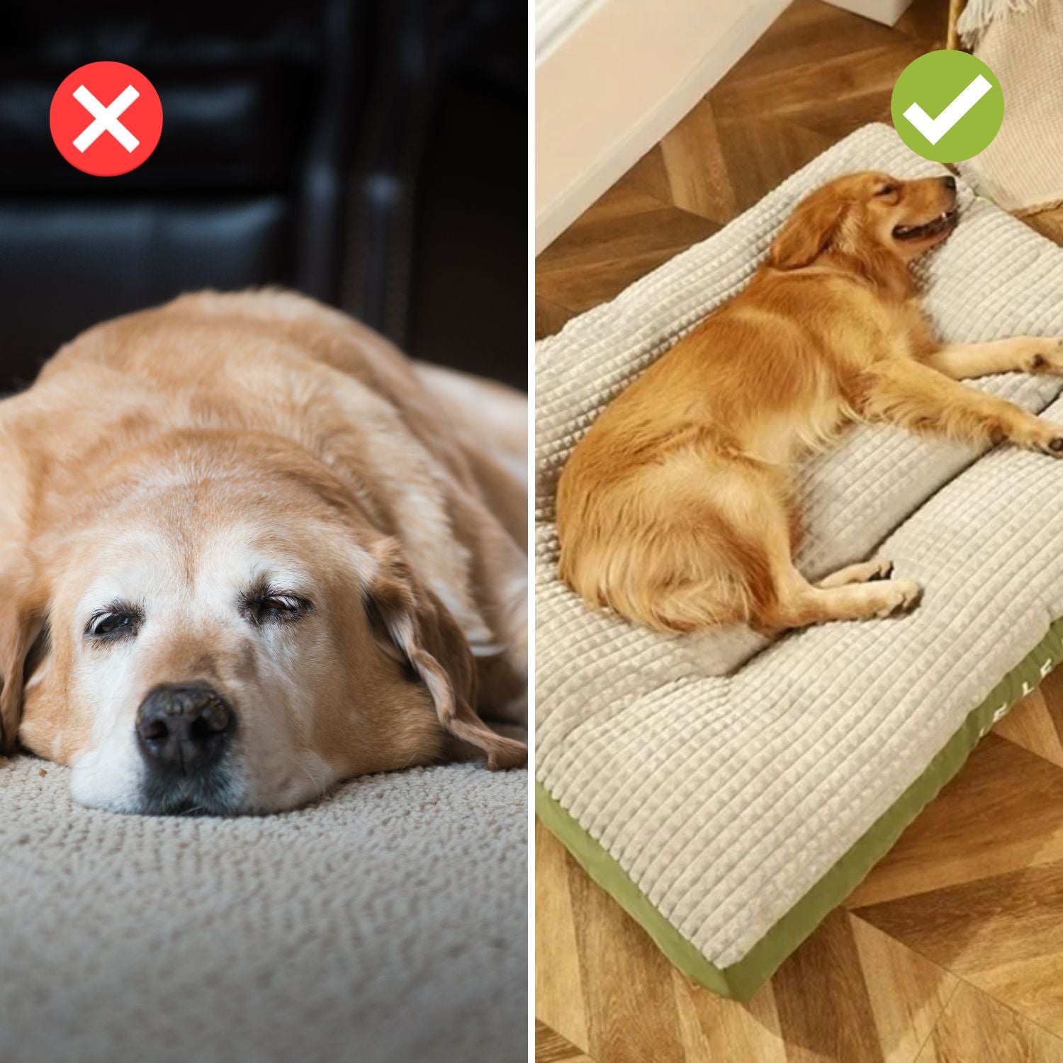 TraumHund™ – Hundematte für schmerzfreien erholsamen Schlaf