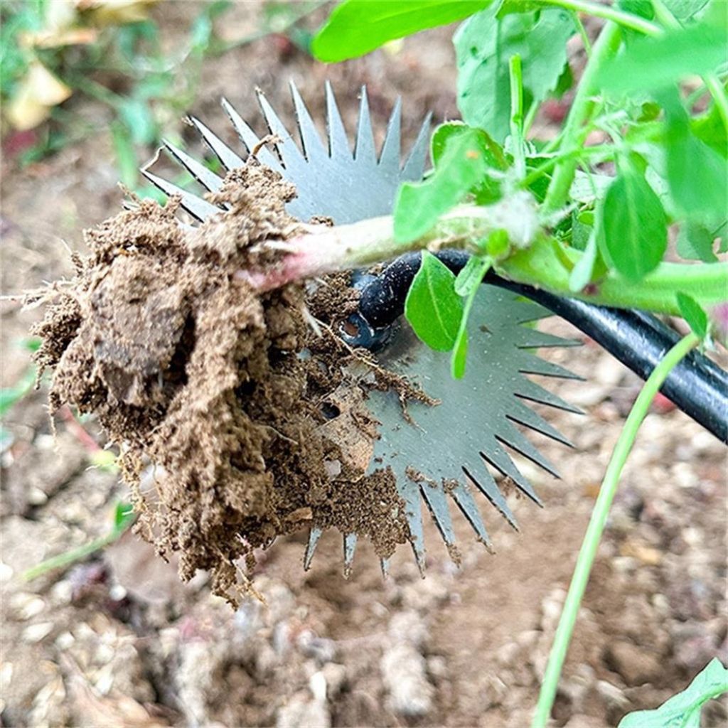 SunFlowy™ – Nachhaltige Sonnenblumenhacke mit Holzgriff für einfaches Jäten