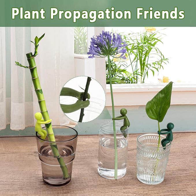 3+3 Gratis | PlantFriends™ – Dekorative Pflanzenstützen für gesundes Wachstum