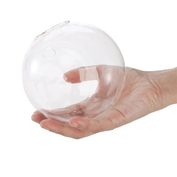 1+1 Gratis | GlassVasy – Minimalistische Glaswandvase für Hydrokulturpflanzen