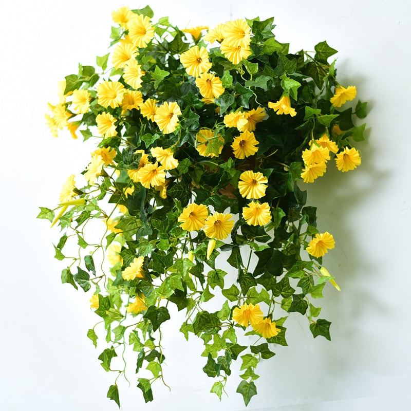 FlowerGlow™ – Ewig blühende Prunkwinde für Eleganz im Innen- und Außenbereich