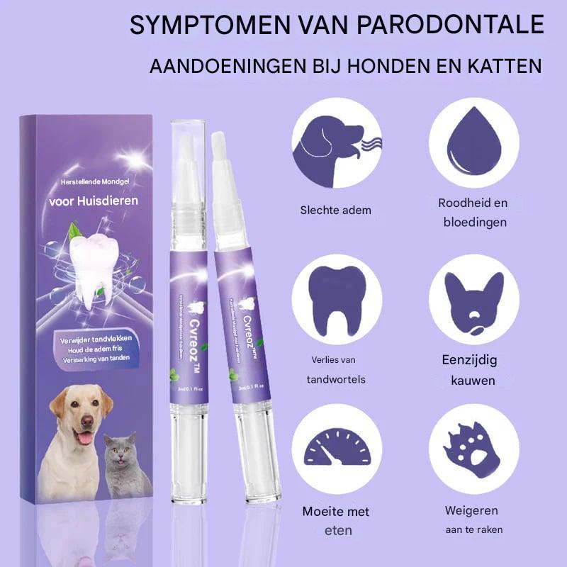 1+1 Gratis | OralShine™ – Zahnpflege-Gel für Haustiere