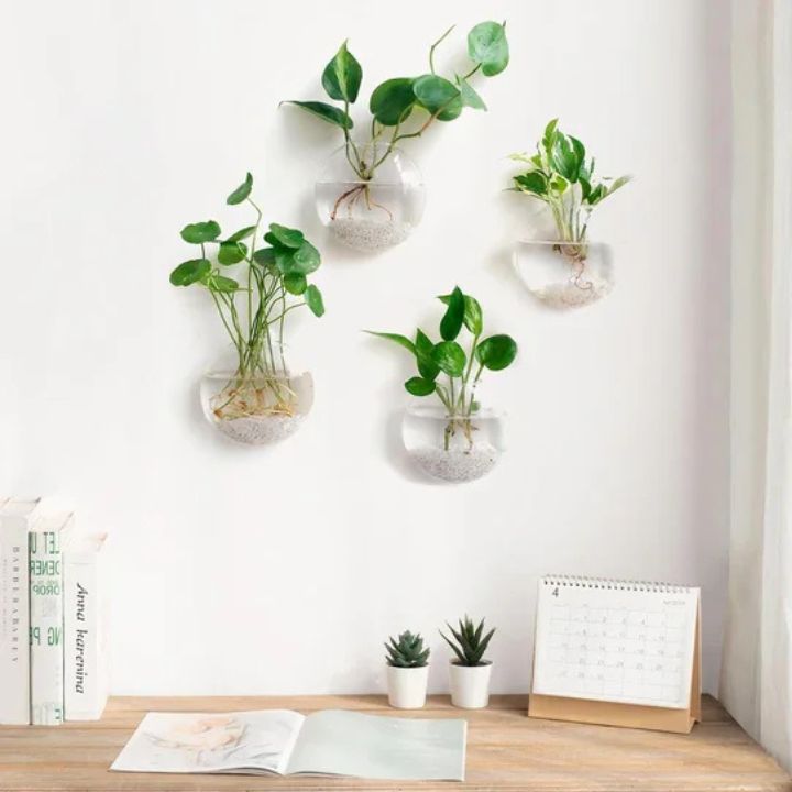 1+1 Gratis | GlassVasy – Minimalistische Glaswandvase für Hydrokulturpflanzen