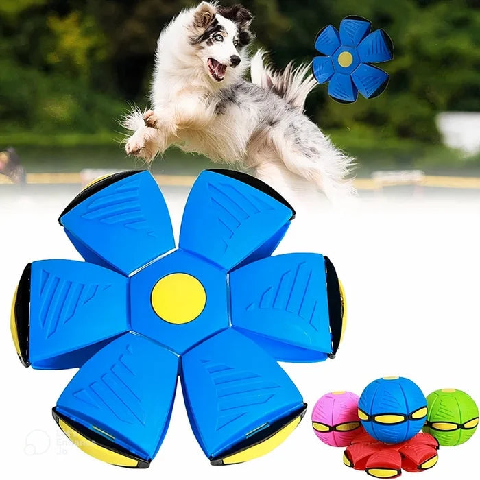 Bounce Ball™ - Interaktiver Ball für Hunde