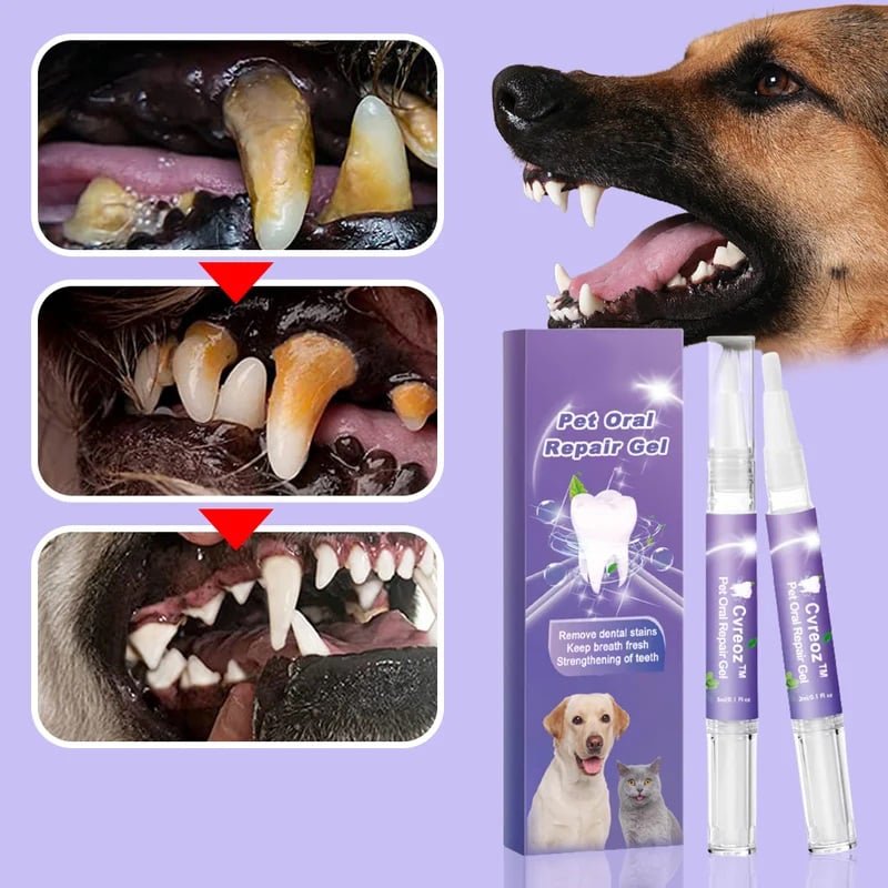 ToothSet™ – Zahnpflege für Haustiere für frischen Atem und gesundes Zahnfleisch