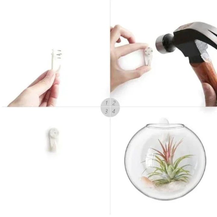 1+1 Gratis | GlassVasy – Minimalistische Glaswandvase für Hydrokulturpflanzen
