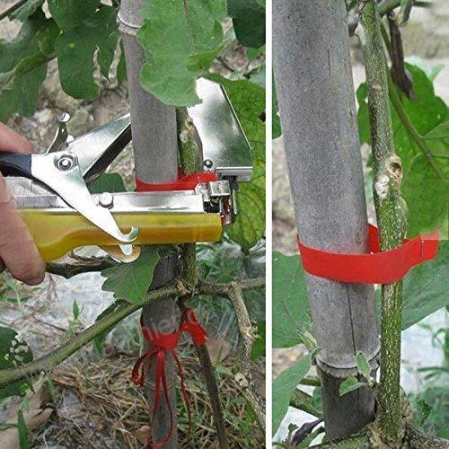 PlantGroup™ – Schnelles und einfaches Werkzeug zum Binden von Pflanzen