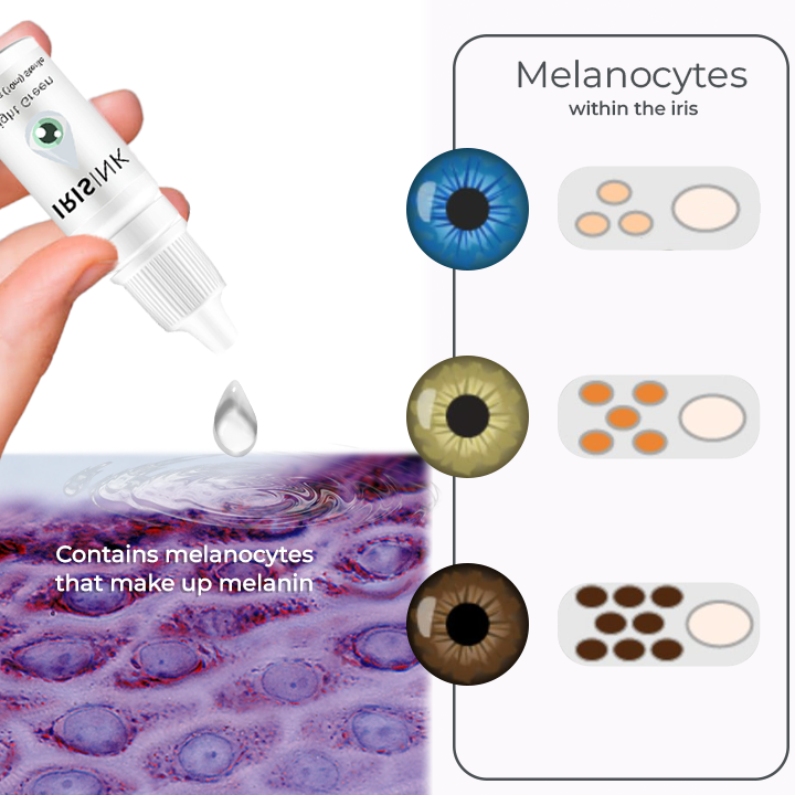 CatchEyes™ – Augentropfen, die die Augenfarbe verändern