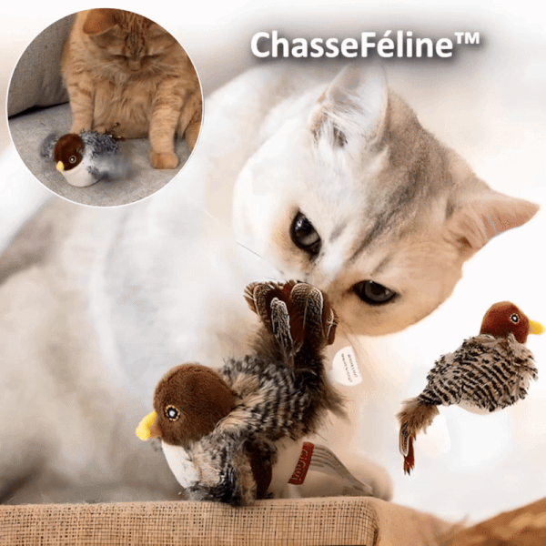 BirdFly™ – Erwecken Sie die wilden Instinkte Ihrer Katze