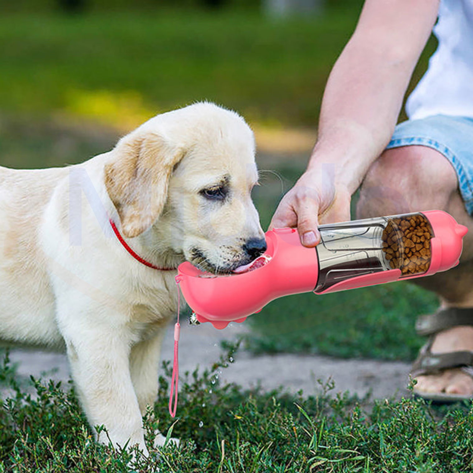 PuppyWander™ – 4-in-1 tragbare Flasche für Haustiere