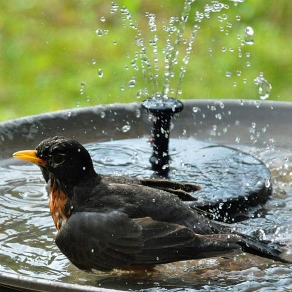 SolarWater™ – Solarbetriebener Springbrunnen