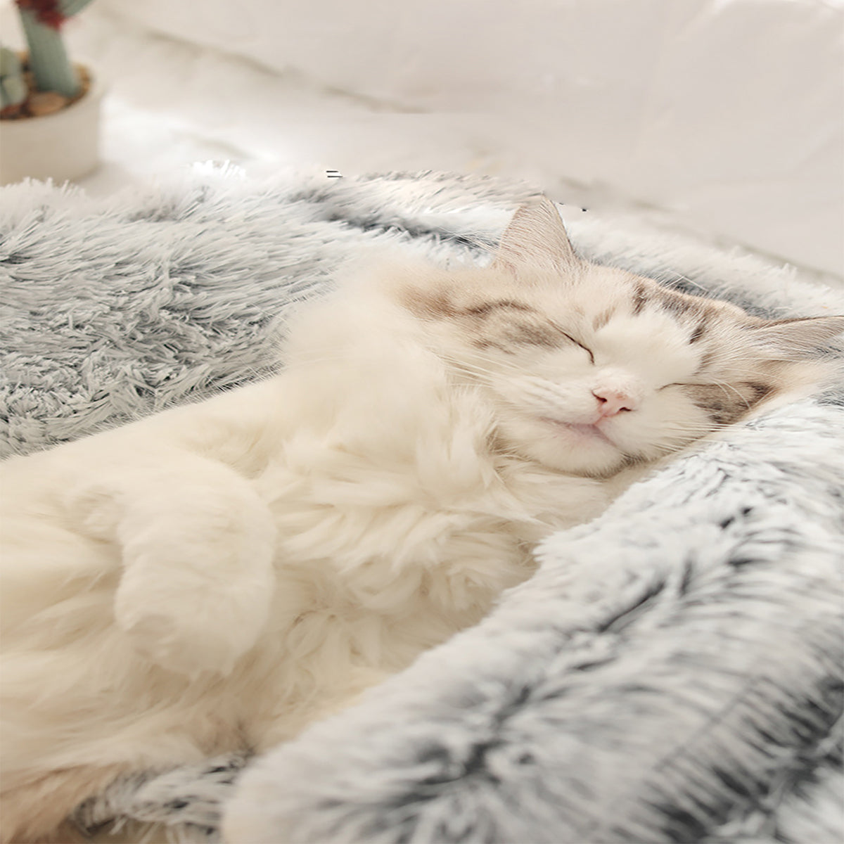 PawsSnuggy™ – Beruhigendes Haustierbett gegen Angstzustände