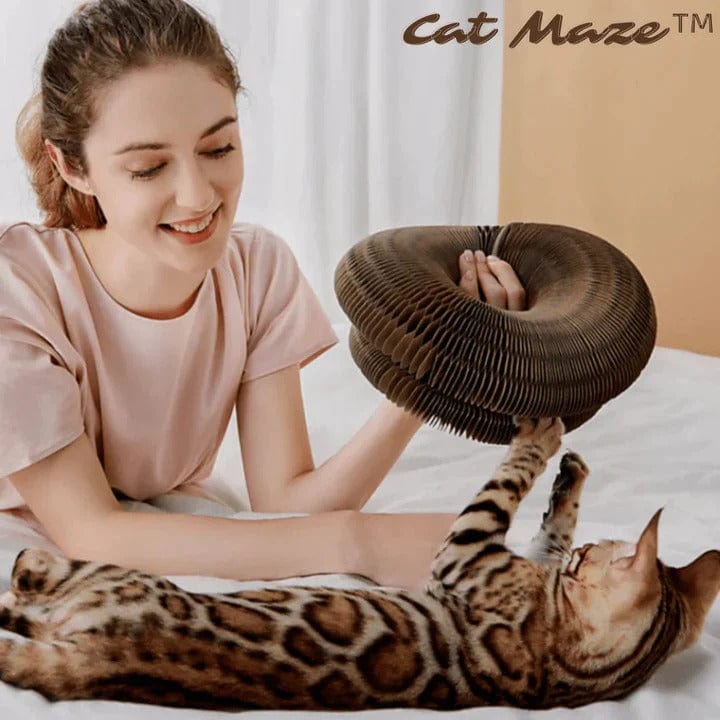PurrPlay™ - Der größte Spaß für Ihre Katze!