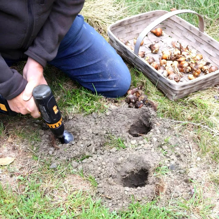 PlantPro™ - Mit Leichtigkeit einen schönen Garten anlegen!