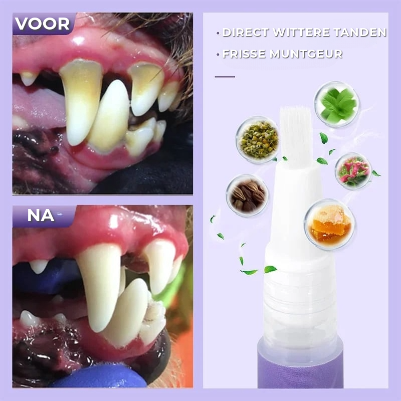 ToothSet™ – Zahnpflege für Haustiere für frischen Atem und gesundes Zahnfleisch